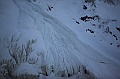 C5D_113350
