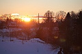 C5D_113356