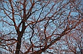 C5D_113359