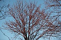 C5D_113360