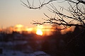 C5D_113363