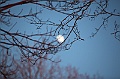 C5D_113366