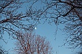 C5D_113368