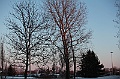 C5D_113373