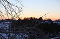 C5D_113374