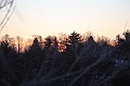 C5D_113375