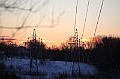C5D_113380