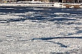 C5D_113402