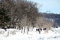 C5D_113410