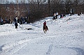 C5D_112873