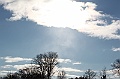 C5D_112900