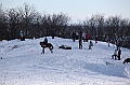 C5D_112989