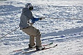 C5D_113010