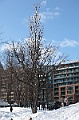 C5D_113018