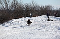 C5D_113058