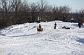 C5D_113088
