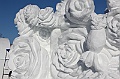 C5D_113192