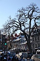 C5D_113222