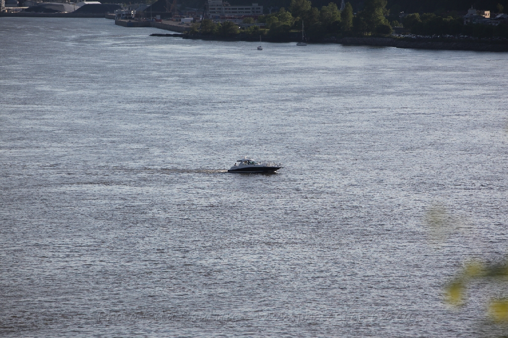 C5D_130044.JPG