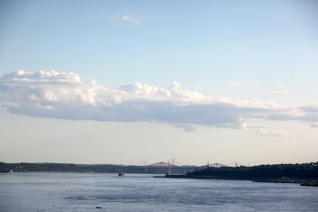 C5D_130133.JPG