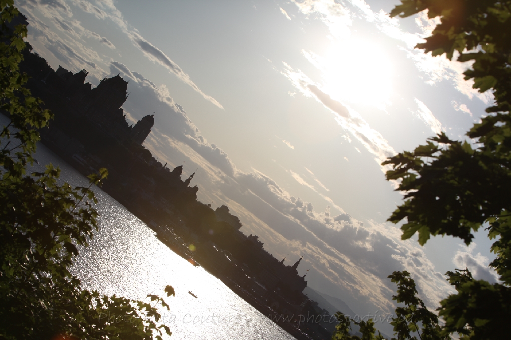 C5D_130142.JPG