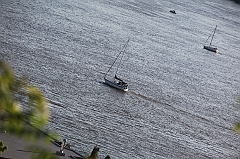 C5D_130049