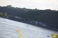C5D_130071