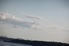 C5D_130097