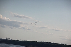 C5D_130099