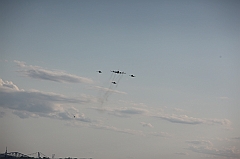 C5D_130103