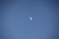 C5D_130225