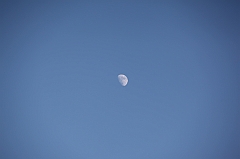 C5D_130226