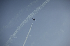 C5D_130248