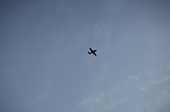 C5D_130256