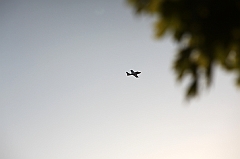 C5D_130259