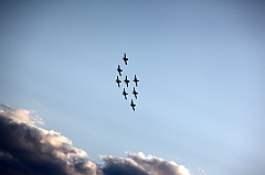 C5D_130278