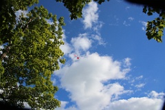 4L4C0794