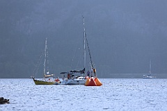 IMG_0021