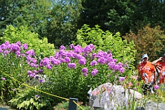IMG_1865