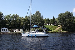 IMG_8981