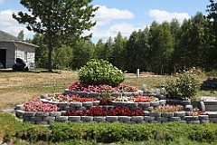 IMG_9627