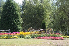 IMG_9630