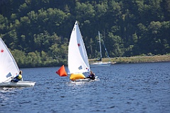IMG_0884