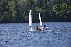 IMG_1239