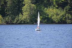IMG_1290