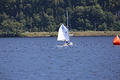 IMG_1310