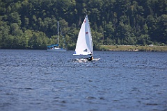 IMG_1381