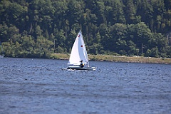 IMG_1384