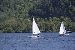 IMG_1445