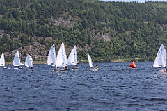 IMG_1906
